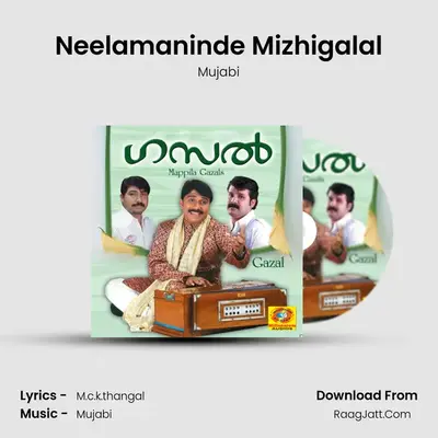 Neelamaninde Mizhigalal MP3 Song by Mujabi Cover