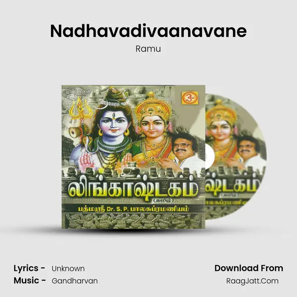 Nadhavadivaanavane MP3 Song by Ramu Cover