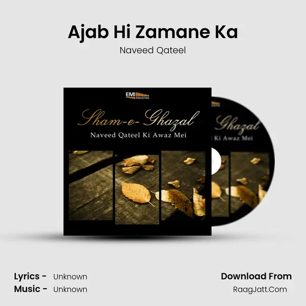 Ajab Hi Zamane Ka MP3 Song by Naveed Qateel Cover