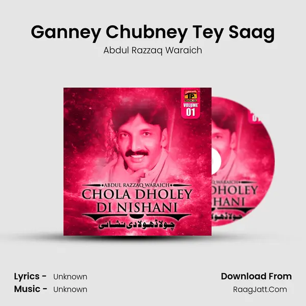 Ganney Chubney Tey Saag MP3 Song by Abdul Razzaq Waraich Cover