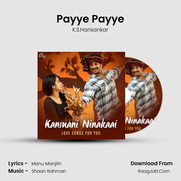 Payye Payye Cover