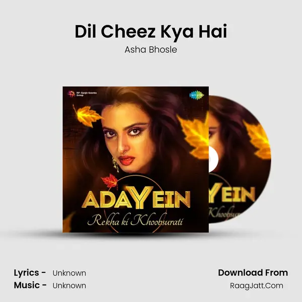 Dil Cheez Kya Hai Cover