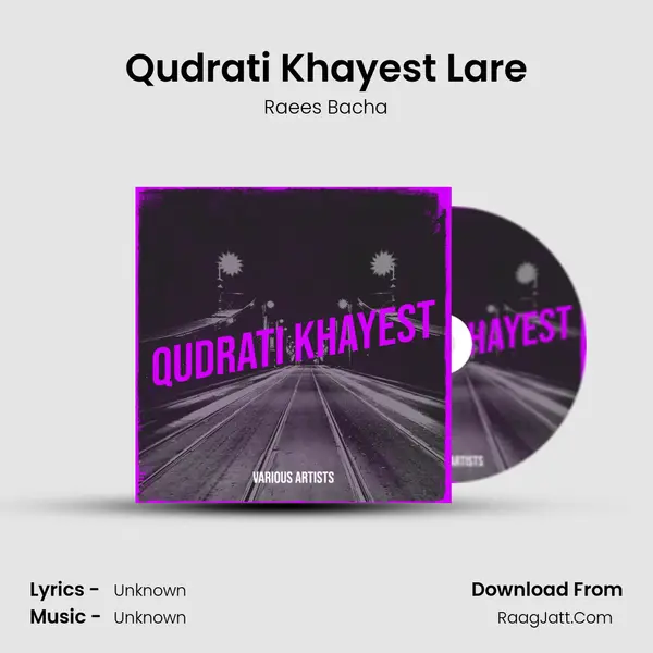 Qudrati Khayest Lare MP3 Song by Raees Bacha Cover