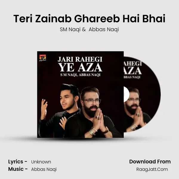 Teri Zainab Ghareeb Hai Bhai mp3 song