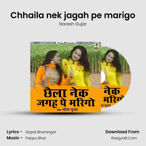 Chhaila nek jagah pe marigo MP3 Song by Naresh Gujar Cover