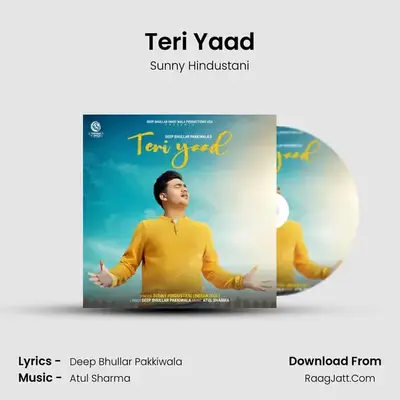 Teri Yaad MP3 Song by Sunny Hindustani Cover