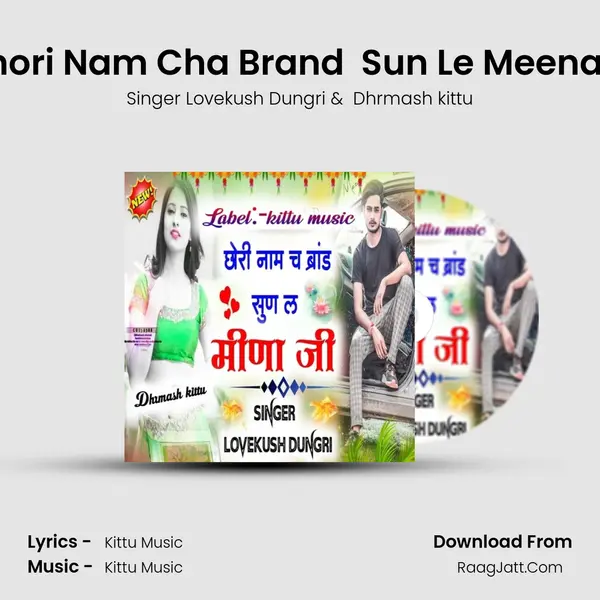 Chori Nam Cha Brand  Sun Le Meena Ji mp3 song