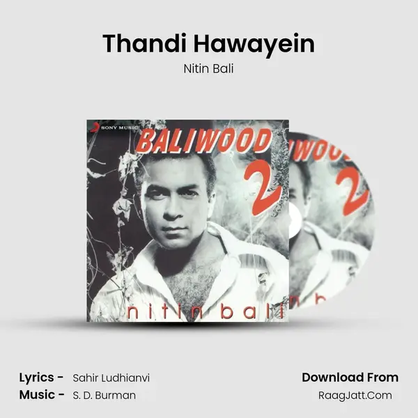 Thandi Hawayein MP3 Song by Nitin Bali Cover