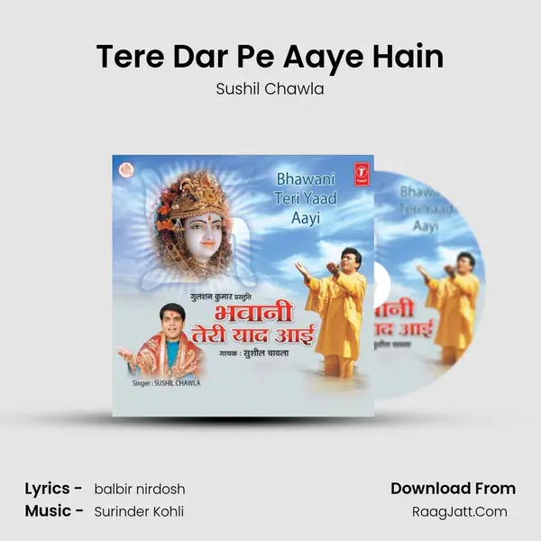 Tere Dar Pe Aaye Hain mp3 song