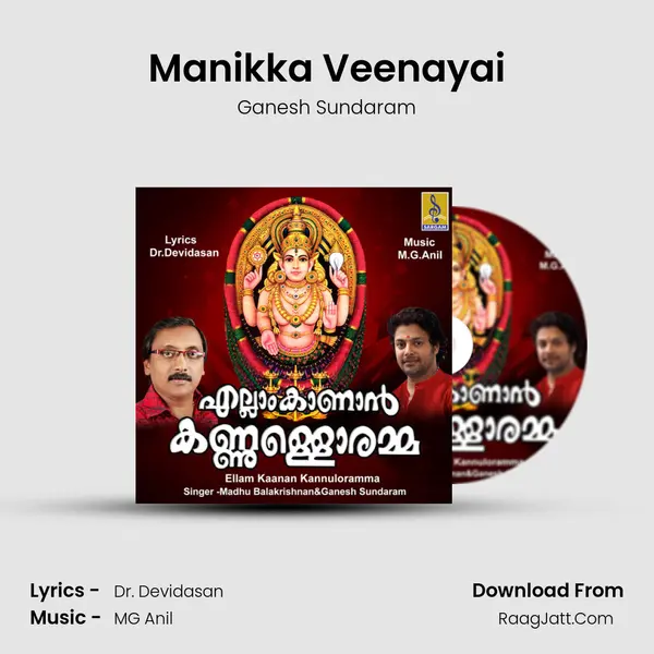 Manikka Veenayai MP3 Song by Ganesh Sundaram Cover