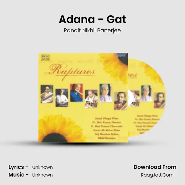 Adana - Gat MP3 Song by Pandit Nikhil Banerjee Cover