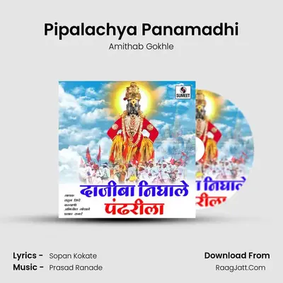 Pipalachya Panamadhi MP3 Song by Amithab Gokhle Cover
