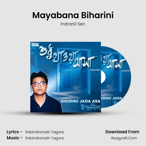 Mayabana Biharini MP3 Song by Indranil Sen Cover