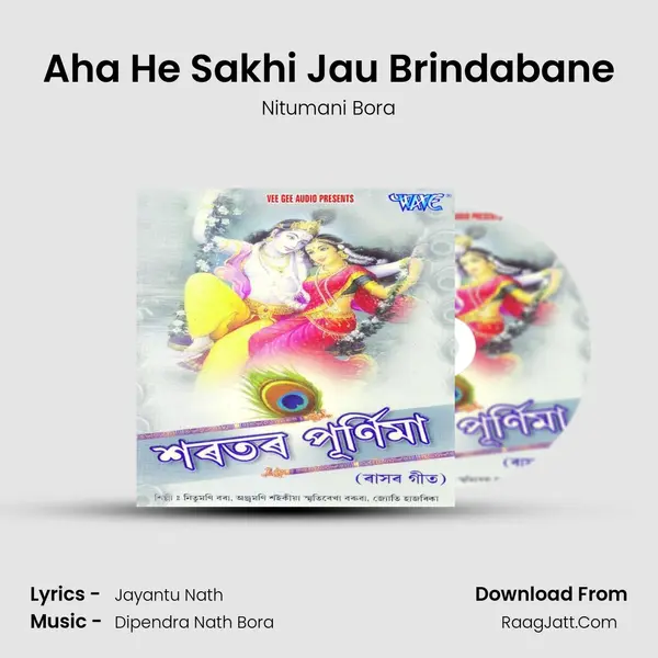 Aha He Sakhi Jau Brindabane MP3 Song by Nitumani Bora Cover