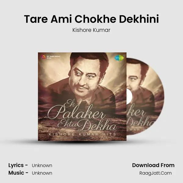 Tare Ami Chokhe Dekhini Cover