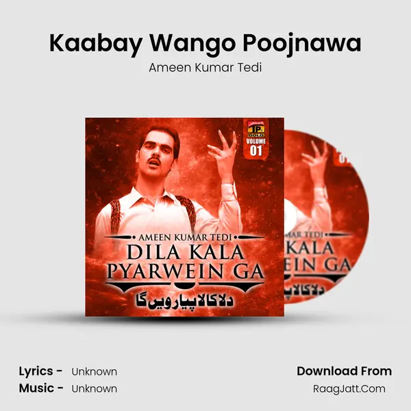 Kaabay Wango Poojnawa MP3 Song by Ameen Kumar Tedi Cover