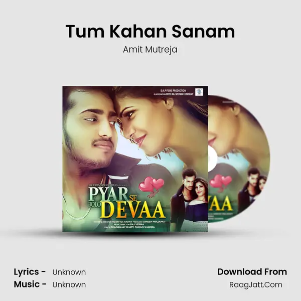 Tum Kahan Sanam Cover
