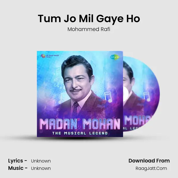 Tum Jo Mil Gaye Ho Cover
