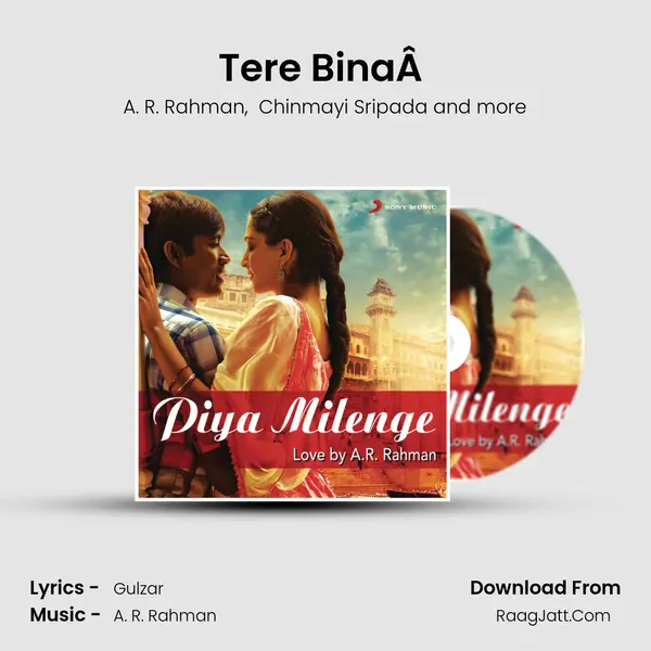Tere Binaรย (From "Guru") Cover