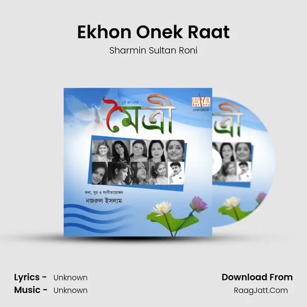 Ekhon Onek Raat MP3 Song by Sharmin Sultan Roni Cover
