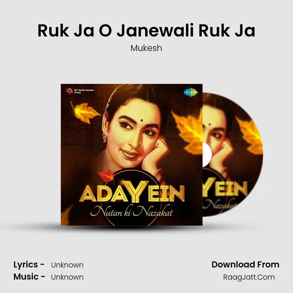 Ruk Ja O Janewali Ruk Ja Cover
