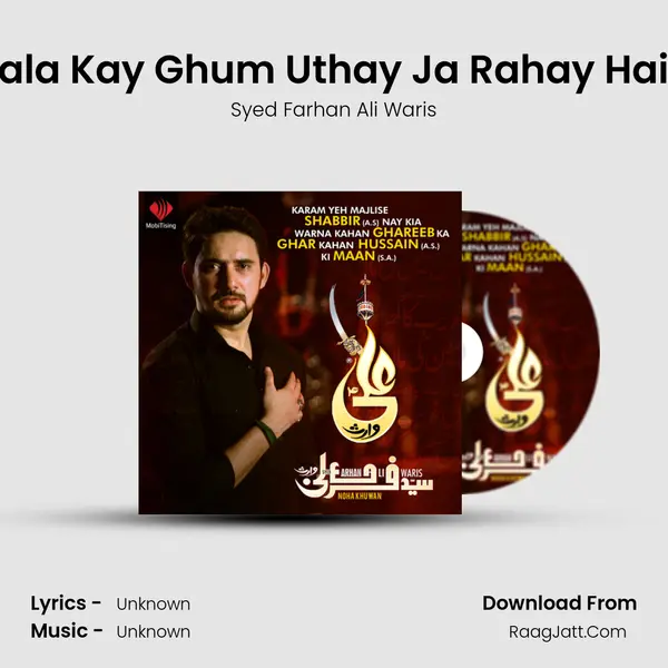 Bala Kay Ghum Uthay Ja Rahay Hain MP3 Song by Syed Farhan Ali Waris Cover