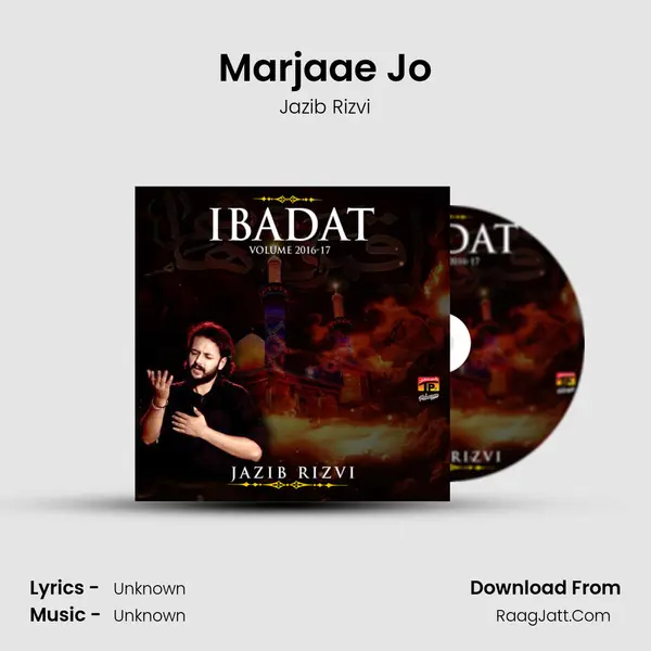 Marjaae Jo MP3 Song by Jazib Rizvi Cover