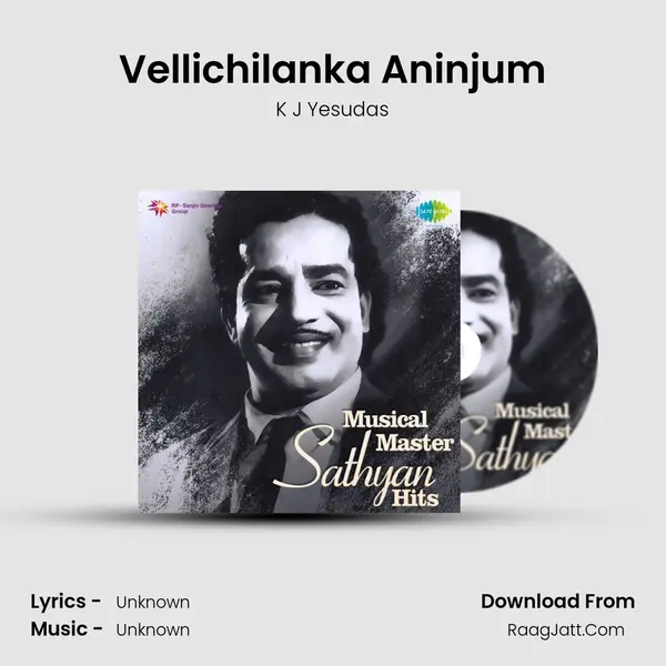 Vellichilanka Aninjum Cover