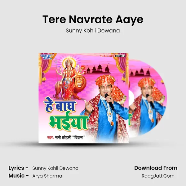 Tere Navrate Aaye MP3 Song by Sunny Kohli Dewana Cover