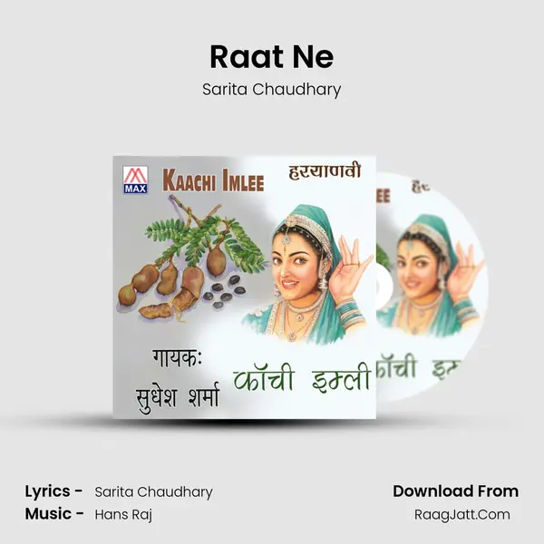 Raat Ne MP3 Song by Sarita Chaudhary Cover