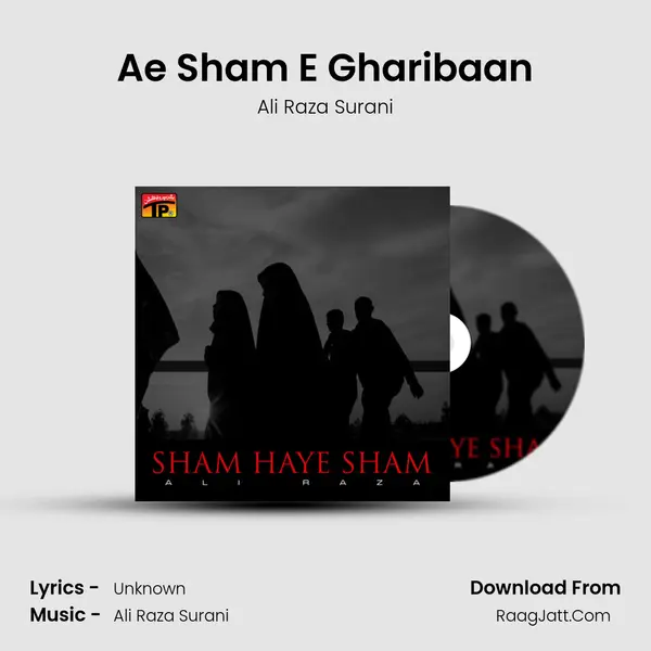 Ae Sham E Gharibaan MP3 Song by Ali Raza Surani Cover