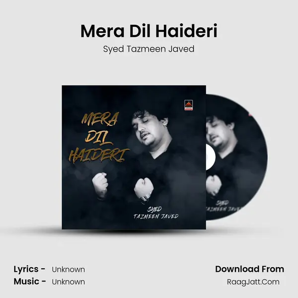 Mera Dil Haideri mp3 song