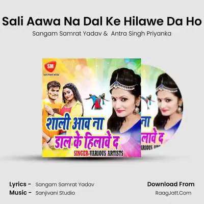 Sali Aawa Na Dal Ke Hilawe Da Ho MP3 Song by Sangam Samrat Yadav Cover