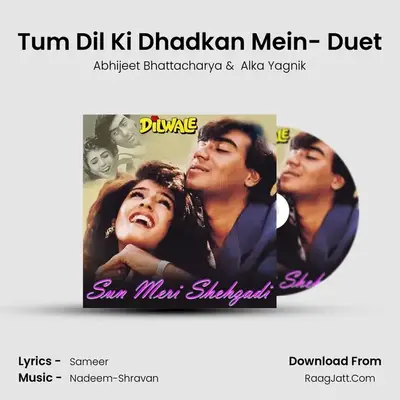 Tum Dil Ki Dhadkan Mein- Duet Cover