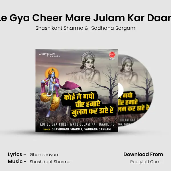 Koi Le Gya Cheer Mare Julam Kar Daare Re mp3 song