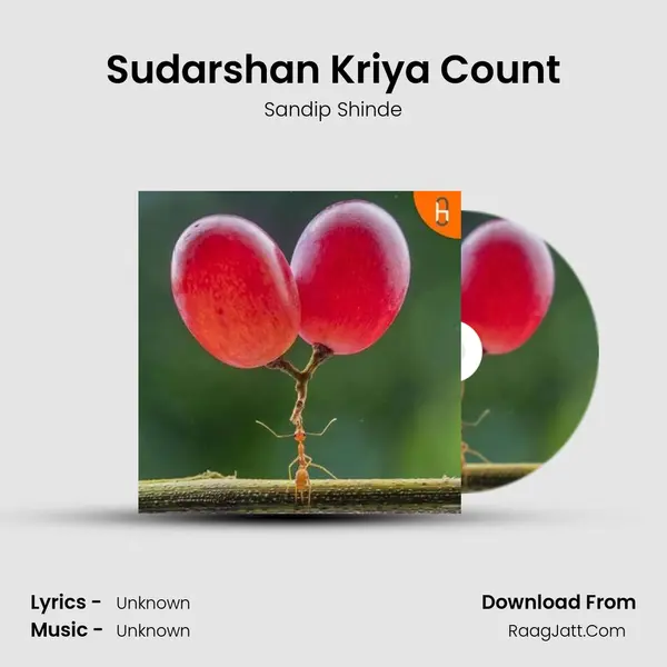 Sudarshan Kriya Count mp3 song