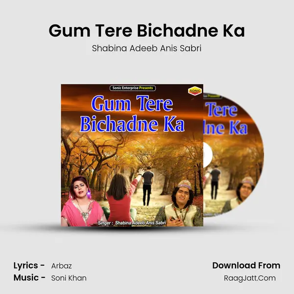 Gum Tere Bichadne Ka - Shabina Adeeb Anis Sabri