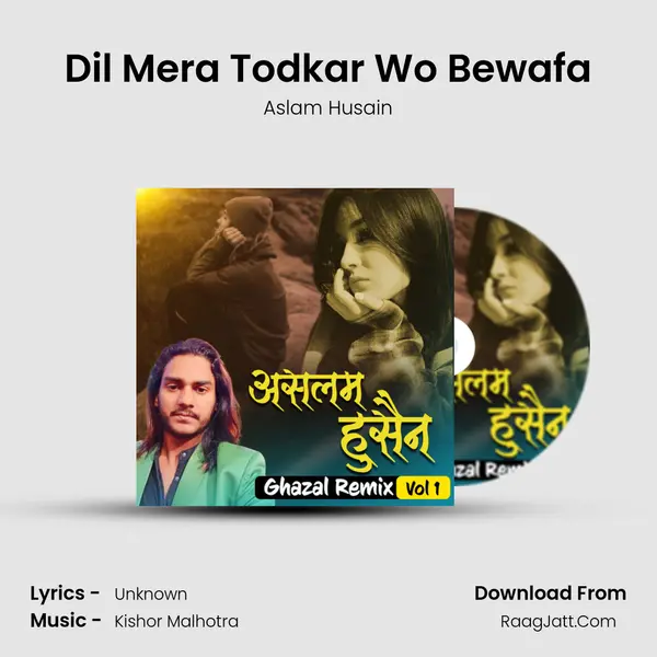 Dil Mera Todkar Wo Bewafa mp3 song