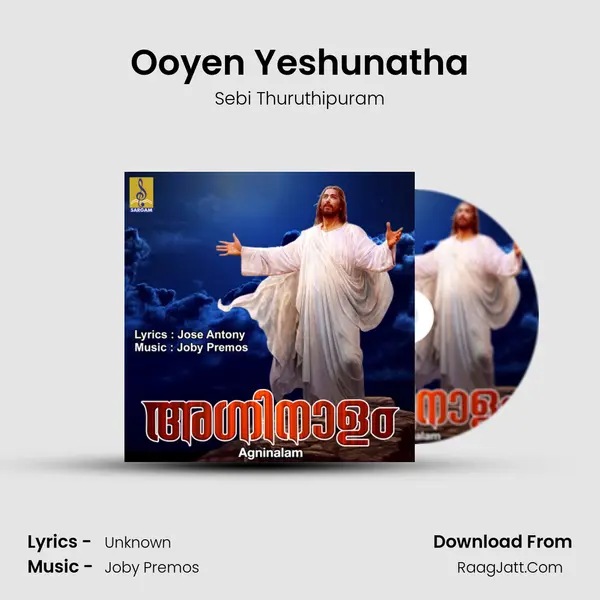 Sebi Thuruthipuram