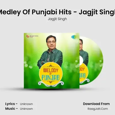 Medley Of Punjabi Hits - Jagjit Singh MP3 Song by Jagjit Singh Cover