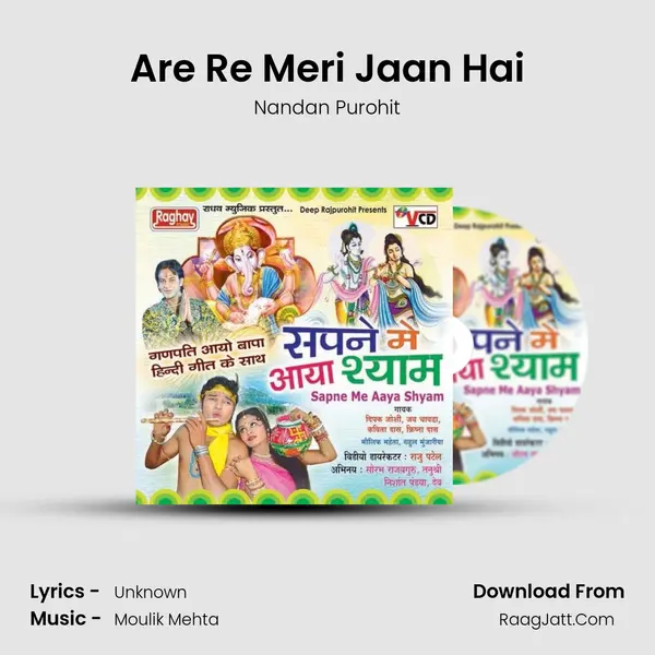 Are Re Meri Jaan Hai MP3 Song by Nandan Purohit Cover