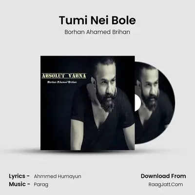 Tumi Nei Bole MP3 Song by Borhan Ahamed Brihan Cover