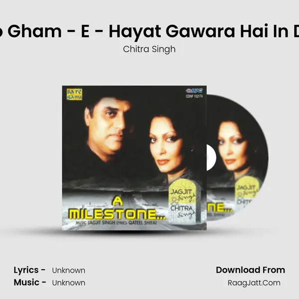 Dil Ko Gham - E - Hayat Gawara Hai In Dinon MP3 Song by Chitra Singh Cover