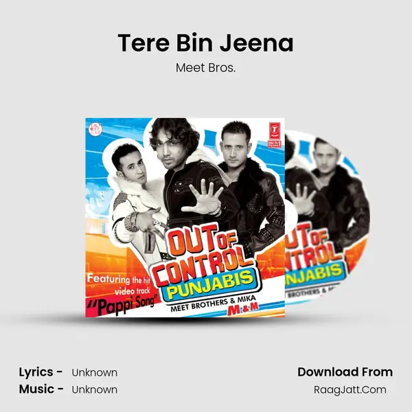 Tere Bin Jeena Cover
