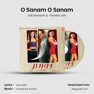 O Sanam O Sanam MP3 Song by Udit Narayan Cover