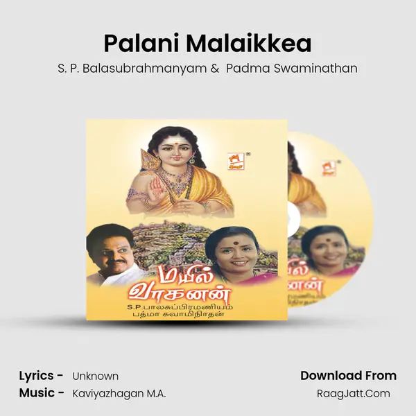 Palani Malaikkea MP3 Song by S. P. Balasubrahmanyam Cover