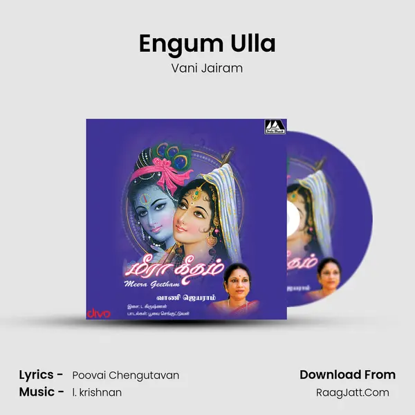 Engum Ulla MP3 Song by Vani Jairam Cover