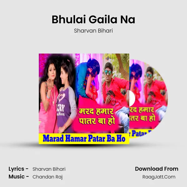 Bhulai Gaila Na MP3 Song by Sharvan Bihari Cover