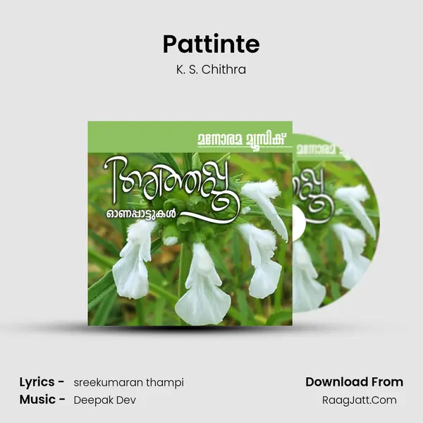 Pattinte MP3 Song by K. S. Chithra Cover