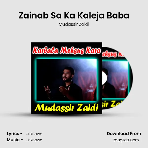 Zainab Sa Ka Kaleja Baba mp3 song